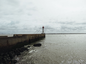 Lutte contre les nuisibles Saint-Nazaire